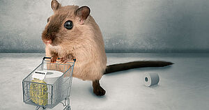 Wer hamstert, ist unsolidarisch! Copyright by Adobe Stock/Sven Bachstroem