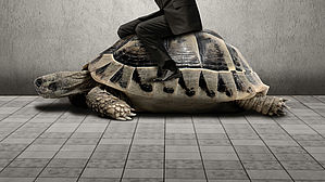 Immer schön langsam…. Copyright by 2jenn/fotolia. Immer schön langsam…. Copyright by 2jenn/fotolia.