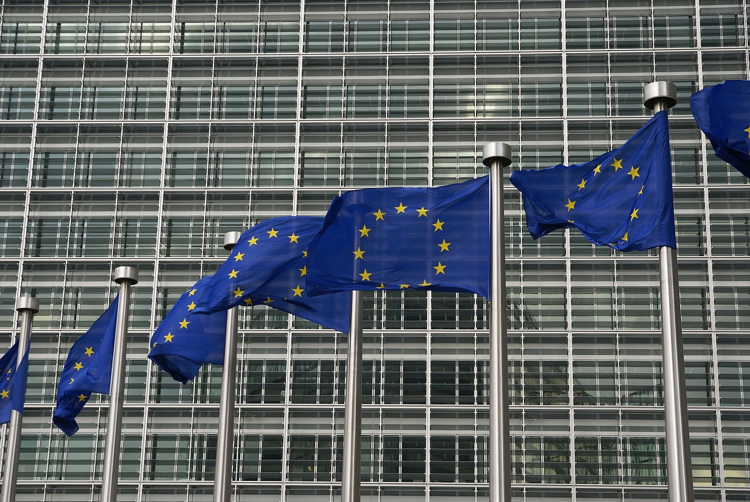 Wann Warum Wie Lange Bekommen Eu Burger Innen Alg 2 Dgb