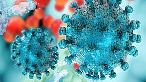 Immunglobuline spielen eine zentrale Rolle in der menschlichen Immunabwehr. Pharmazeutische Konzentrate hiervon können bei vielen Erkrankungen eingesetzt werden. Copyright by Adobe Stock/fotoliaxrend Immunglobuline spielen eine zentrale Rolle in der menschlichen Immunabwehr. Pharmazeutische Konzentrate hiervon können bei vielen Erkrankungen eingesetzt werden. Copyright by Adobe Stock/fotoliaxrend