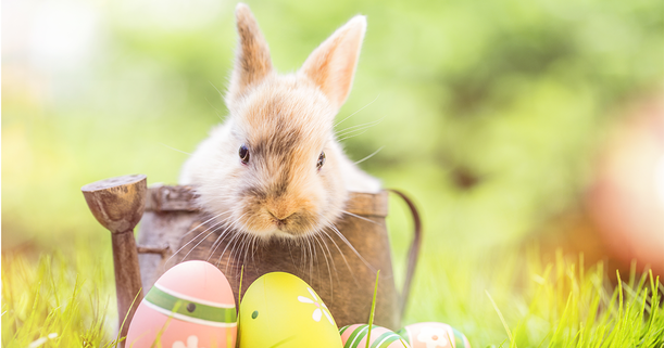 Der Osterhase bringt dieses Jahr Feiertagszuschläge - © drubig-photo / Adobe Stock