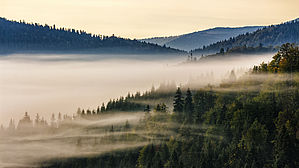 Vorwürfe dürfen nicht im Nebel bleiben. Copyright by Pellinni/fotolia.