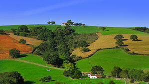 In sehr ländlich geprägten Gegenden kann es besonders schwer sein, sein Haus zu verkaufen, um dann davon leben zu können. Copyright by Tilio & Paolo/Fotolia