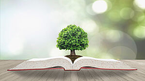 Wer arbeitslos ist, sich arbeitslos gemeldet und die Anwartschaftszeit erfüllt hat, erwirbt das sogenannte Stammrecht auf Arbeitslosengeld. Copyright by Chinnapong/Fotolia Wer arbeitslos ist, sich arbeitslos gemeldet und die Anwartschaftszeit erfüllt hat, erwirbt das sogenannte Stammrecht auf Arbeitslosengeld. Copyright by Chinnapong/Fotolia