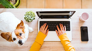 Viele Beschäftigte sind vom Arbeitgeber mit einem Laptop nach Hause „verbannt“ worden. Copyright by Adobe Stock/Eva