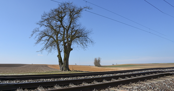 Zweigleisig fahren beim Rentenantrag? Copyright: Adobe Stock - Von TRFilm