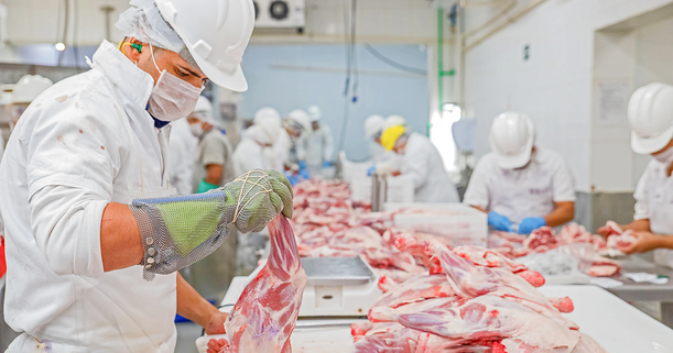 Verfassungsbeschwerden gegen das Verbot Fremdpersonal in der Fleischindustrie abgelehnt. © Adobe Stock - Von Clio
