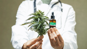 Viele Sozialgericht haben schon zur Behandlung mit Cannabis entschieden. Nun hat sich auch das LSG Baden-Württemberg damit befasst. Copyright by Adobe Stock/ Elroi Viele Sozialgericht haben schon zur Behandlung mit Cannabis entschieden. Nun hat sich auch das LSG Baden-Württemberg damit befasst. Copyright by Adobe Stock/ Elroi